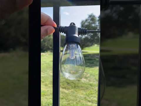 Best Outdoor Solar String Lights for Your Backyard #shorts