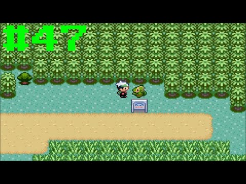 Pokemon Emerald Part 47 | Kecleon Clean up!