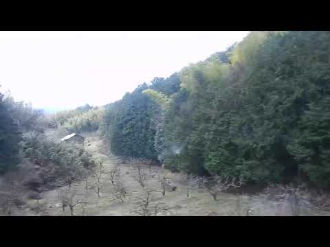 3/6 185系 特急踊り子9号 熱海〜三島 丹那トンネルを爆走