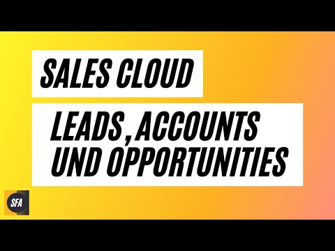 Salesforce Sales Cloud (Leads, Accounts und Opportunities) erklärt