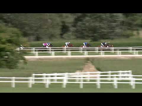 2021.08.08. 03. futam - TÍZEK TÁRSASÁGA DÍJA (III.kat.)