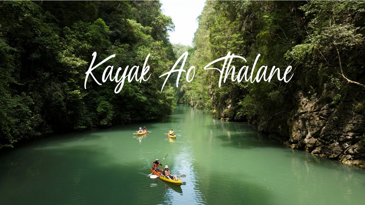 Navigate mangrove trails and canyons, spot exotic wildlife like monkeys and birds, enjoy a safety briefing, and embark on an immersive guided kayaking journey.