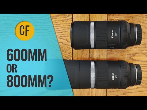 Canon RF 600 f/11 vs 800mm f/11: Which should you buy?