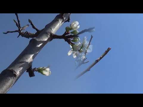 Maurice Ravel, Bolero, Wiener Philharmoniker, Gustavo Dudamel