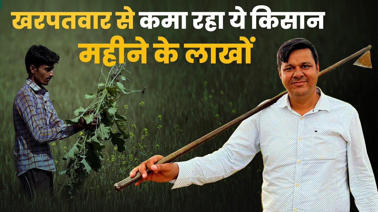 खरपतवार से कमा रहा है ये किसान महीने के लाखों | Medicinal Plant Farming | Farming Business Ideas