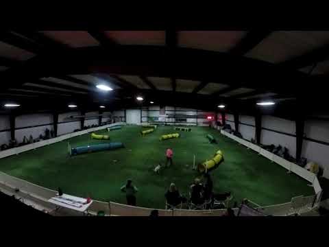 Koke Tunnelers 01012023