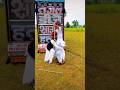 New Rajasthani Song Dj Remix 2026 New Marwadi Song 2024 Remix Dj New Marwadi Song Remix 2025