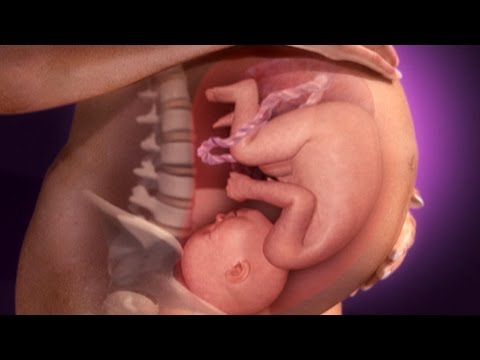 Inside Pregnancy: Weeks 28 - 37 | BabyCenter
