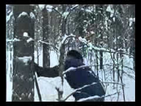 Traditional Finnish Log House Building Process 31