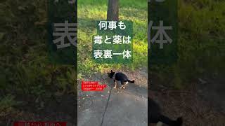 【マブしくない？】　#ヨガサークル #初心者 #川越 #オンライン #疲れ目