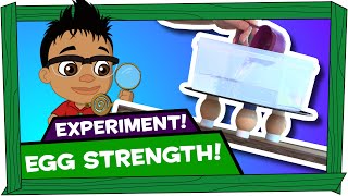Kid Experiments | Egg Strength