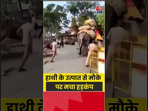 Viral Video: हाथी के उत्पात से मौके पर मचा हड़कंप