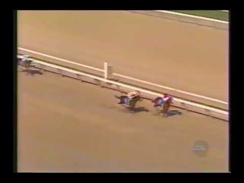 Wood Memorial Invitational Stakes (G1) 1994