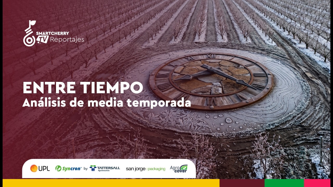No te pierdas el adelanto del reportaje "Entre tiempo: Análisis de media temporada"