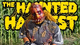 The Haunted Harvest 2025 | Scariest Corn Maze in Southern California! | Frosty's Pumpkin Patch
