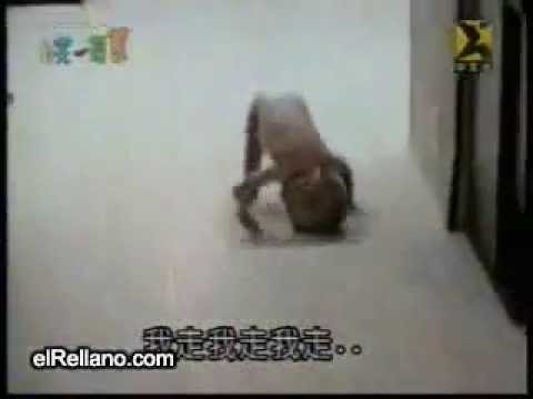 Losunicos’s Video 12310392184 BJ2LJJH8vXE