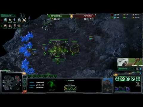 WhoopsYEX (Z) vs WhiteRa (P) - Daybreak