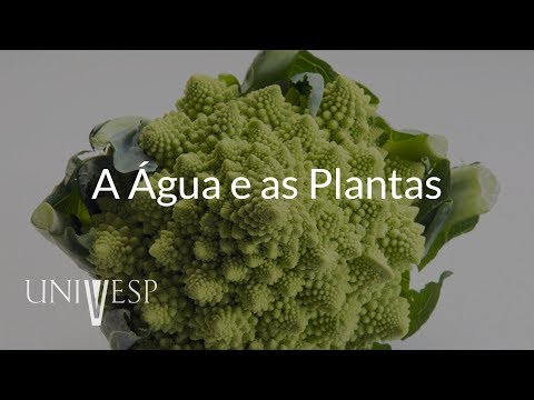 Fisiologia Vegetal - Aula 01 - A água e as plantas