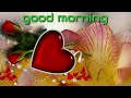 Good Morning Video 75 Good Morning Status Whatsapp Status Good Morning Status Shorts Movie Masala