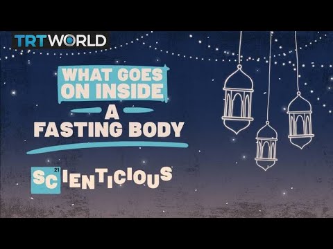 The science behind fasting, explained | Scienticious - Episode 3
