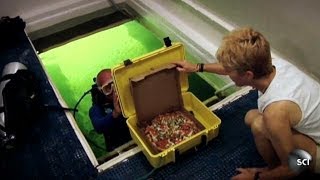 Scuba-Diving Pizza Delivery Man | World's Strangest
