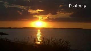 Psalm 19 - Lounge Elektro