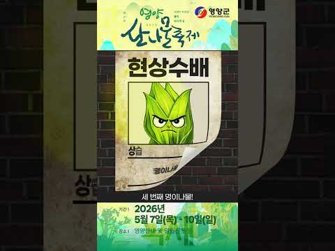 [영양군] 산나물 공개수배중