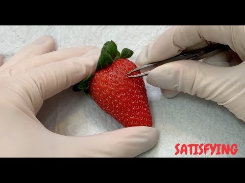 download lagu mp3 mp4 Seedless Strawberry, download mp3 Seedless Strawberry free downloadn, video klip Seedless Strawberry