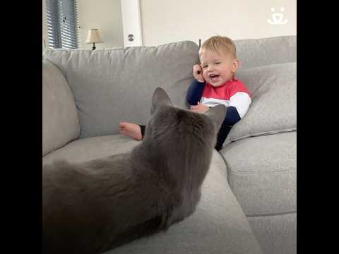 Four years later: Ollie and his BFF (best furry friend) Bruce