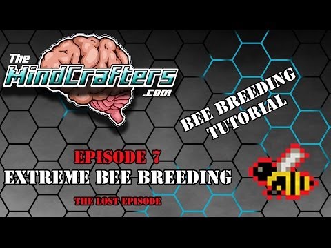 Bee Breeding Guide - Episode 7: Extreme Bee breeding
