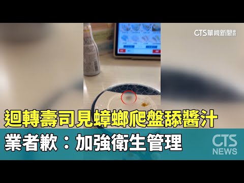迴轉壽司見蟑螂爬盤舔醬汁　業者歉：加強衛生管理