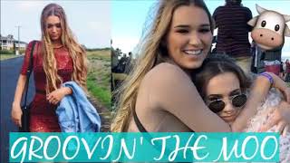 * * *    Manhattan Transfer  - Groovin&#39;    * * *