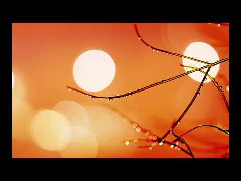 Tindersticks -- Friday Nights (George Topuridze Voc)