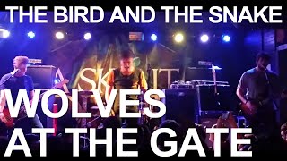 Wolves At The Gate - The Bird and the Snake Live