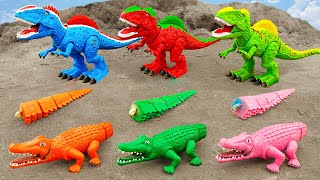 T-Rex dinosaurs find and assemble tail for crocodile - Animal Toy for kids
