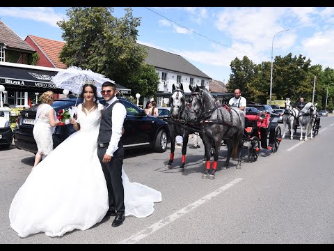Svadba od 2000 ljudi  kod gazde Milana iz Novog Miloseva- SPOT - studio Toma Nesa