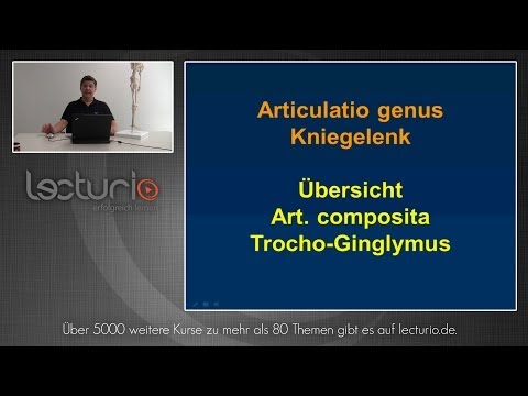 Schmerzen im Gelenk der großen Zehe Symptome Injektionen in Osteochondrose in dem Buchstaben a