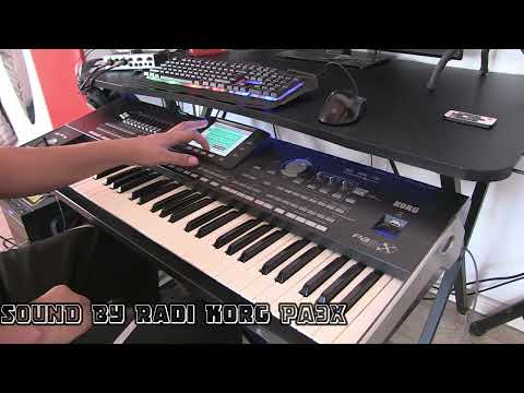 Radi Sound By Korg pa3x