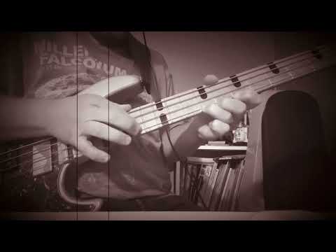 When you order Billy Sheehan from Wish.com !!!