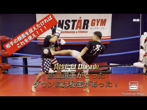 【RISE ELDRD】《原口健飛 》選手が使った《フェイント》《三日月蹴り》を解説、実践！白鳥大珠 選手からダウン獲ったのは◯◯が理由だった！