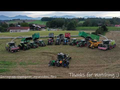 🌽MAIS🌽 Silage für Biogas | 2 Raubkatzen auf Hektar Jagd