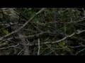 Lusine - Still Frame: Doug Seay