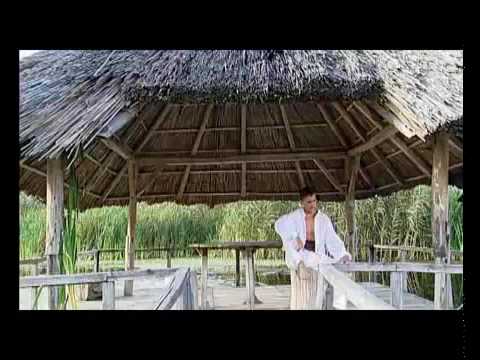 RADU ILLE-cand eram acasa.mp4