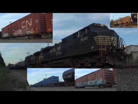 NS Freight 315 - CN 86' Boxcar, WC Boxcar & NS Silver Covered Steel - NS Dash 9 #9585 & AC44C6M 4103