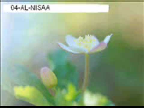 04-AL-NISAA 11-14_chunk_6