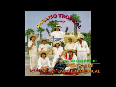 MIX DE PARAISO TROPICAL MOVIDAS