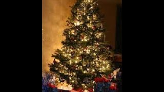 La virgen va caminando