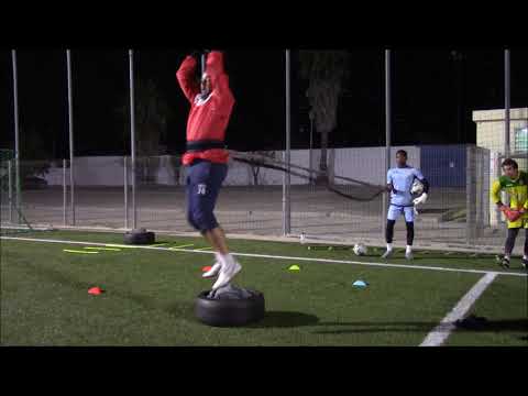 Training