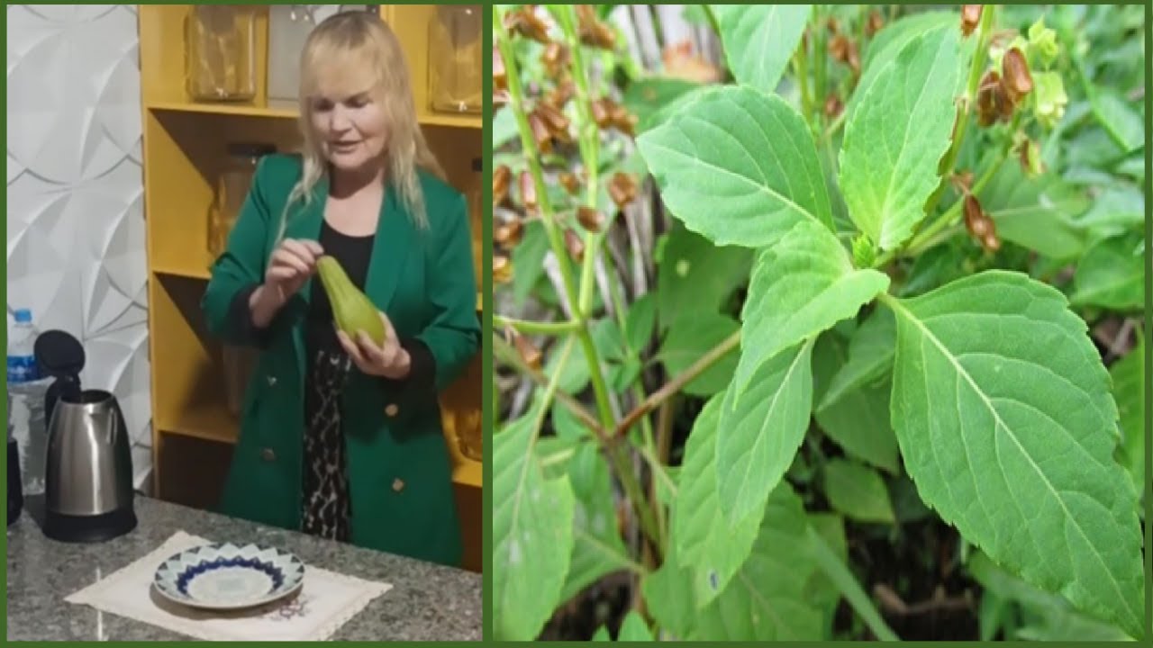 Melhora a Memória, a Visão, o Coração e Desinflama os Nervos #Remédio 💖 MARILENE SARAH FIALHO