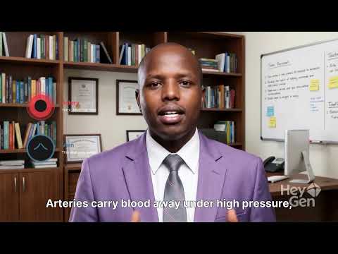 MASOMO ELITE LEARNING-0776 203681